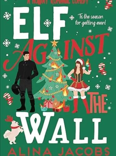 Elf Against the Wall: A Holiday Romantic Comedy (The Wynter Brothers Book 2)